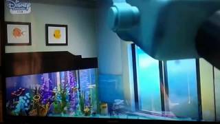 Finding Nemo Escape from The Fish Tank and the Dentist [upl. by Gabriela]