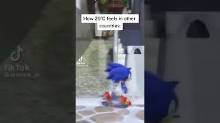 Relatable sonic werehog sonicunleashed sega relatable fyp shorts uk [upl. by Nylikcaj]