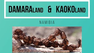 Damaraland  Kaokoland [upl. by Einnus298]