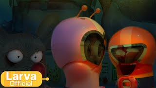 Larva  Larva Rangers🧬  Keyword Cartoon Compilation  Larvatuba [upl. by Yrrum]