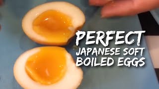 How to Make the Perfect Japanese Soft Boiled Eggs  Ramen Eggs in 2 simple steps [upl. by Salangia]