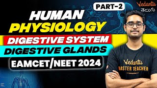 Digestive System Alimentary Canal  Human Physiology  Part 2  NEET 2024  EAMCET 2024 [upl. by Aletse]