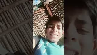 Insan wala ki bhainsa funny comedy Gauravstm2456 [upl. by Rinna]