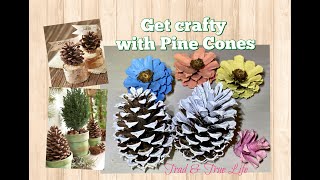 Get Crafty with Pine Cones wreaths repurpose ideas [upl. by Streetman]