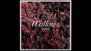 Wallows  Pictures of Girls Official Instrumental [upl. by Augustine]