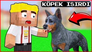 EFEKANI KÖPEK ISIRDI 😱  Minecraft [upl. by Chavez953]