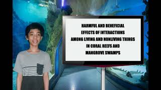 Interactions Among Living and Nonliving Things in Coral Reefs and Mangrove Swamps [upl. by Kovacev]