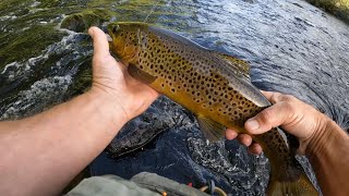 Farmington River Fly Fishing With Ken Martin [upl. by Glaser186]