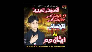 Aai Baajh Rida  Zeeshan Haider Nohay 2008  JHn Muharram [upl. by Ahsenre305]