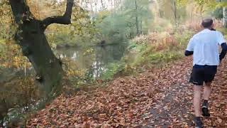 Parkrun Alderley Park 20241026 [upl. by Hambley553]