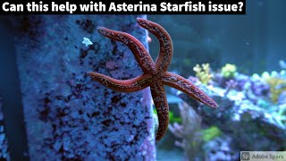 Can this help with Asterina Starfish issue [upl. by Ikila]