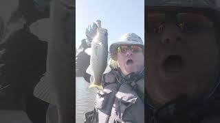 RATTLETRAP SOUND bassfishing trending youtubeshorts [upl. by Ansaev]