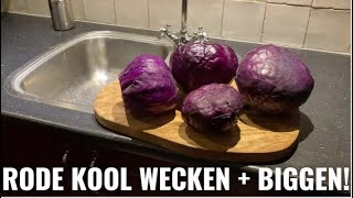 Rode kool maken en wecken recept  nieuwe biggetjes [upl. by Marshal]