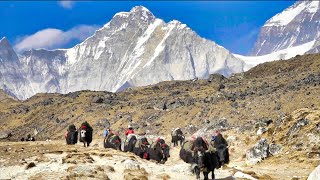 Land of the SHERPAS Walking under Mount Everest 4K Mount Everest Base Camp Trek  Full Documentary [upl. by Lorrimor545]