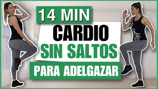 CARDIO SIN SALTOS PARA ADELGAZAR RÁPIDO  Cardio sin impacto  NatyGloss Gym [upl. by Oloap]