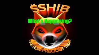 Everything You Need To Know About Shib amp leash CoinToken [upl. by Wendi]