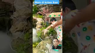 Didigit sama kodok ne bocah ⁉️ animals funny cute pets bonsai [upl. by Selden]