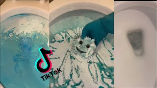 Satisfying TikTok Toilet Scrubbing [upl. by Ahsirahc]