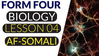 FORM FOUR  BIOLOGY  LESSON FOUR  NEUROTRANSMITTER AFSOMALI [upl. by Fachanan]