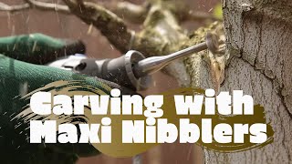 Carving bonsai with R and T Maxi Nibblers [upl. by Anital583]