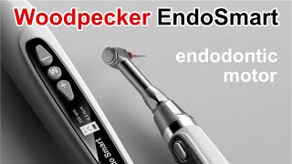 Woodpecker EndoSmart Endodontic Motor Review [upl. by Mcmullan]