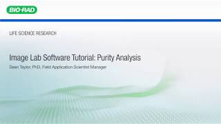 Image Lab Software Tutorial Purity Analysis [upl. by Sherwood]