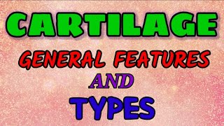 CARTILAGE  GENERAL ANATOMY [upl. by Swee]