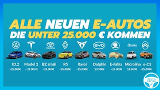 Diese günstigen EAutos kommen unter 25000 €  VW Tesla BYD Renault Skoda Cupra amp IZERA [upl. by Gaddi160]