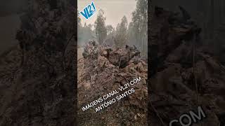 REPORTAGENS  INCÊNDIOS ALBERGARIA A VELHA  RELVAS SET 2024  VL21 [upl. by Vladamar124]