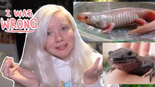 I was WRONG about MORPHED AXOLOTLS [upl. by Farley]