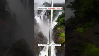 Dudhsagar Waterfall The HIDDEN Gem You Never Knew Existed in India dudhsagarfall shorts goa [upl. by Clarisa]