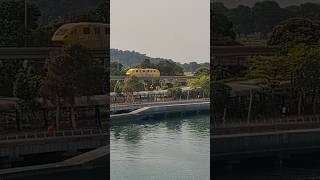 Sentosa Monorail shortvideo sentosasingapore sentosa [upl. by Lleddaw157]