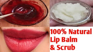 Homemade Lip Balm  Beetroot Lip Balm for Dry and Black Lips [upl. by Noorah]