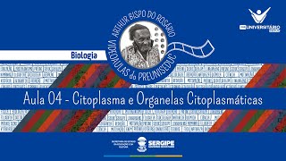 AULA 04  CITOPLASMA E ORGANELAS CITOPLASMÁTICAS  BIOLOGIA  PREUNISEDUC [upl. by Mac]