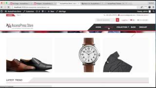 AccessPress Store  How to Put Widget on RightLeftShop Sidebar  WordPress Tutorial [upl. by Mastrianni461]