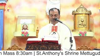 Fr Aloysius  Tuesday English Mass 830am  StAnthonys Shrine Mettuguda  5112024 [upl. by Ylrebmek659]