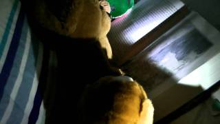 Test Lowlight and Night vision with Panasonic SD900mp4 [upl. by Tallou]