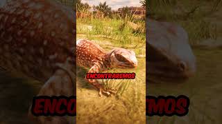 Animales Raros de Ver en RDR2 🤔 [upl. by Reffotsirhc]