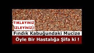 İŞTE ÇÖPE ATTIĞINIZ FINDIK KABUĞUNUN İNANILMAZ MUCİZEVİ FAYDASI AÇIKLANDI [upl. by Dace239]