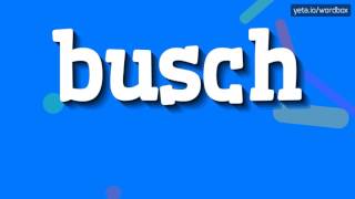 BUSCH  HOW TO PRONOUNCE IT busch [upl. by Dulci]