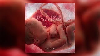 Jotta A  Muéstrame Tu Gloria Lyric Vídeo [upl. by Alyakcm]