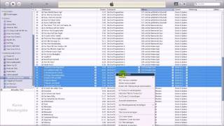 Hörbücher in iTunes kennzeichnen Tutorial [upl. by Fogel664]