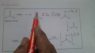 Sodium Borohydride  Metal hydride reduction  Reducing agent [upl. by Rimaj71]