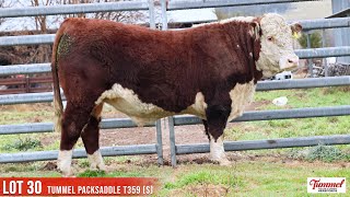 LOT 30 TUMMEL PACKSADDLE T359 S [upl. by Flemming]