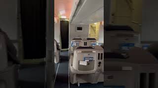 Business Class  Aerolineas Argentina A330 [upl. by Gnal]