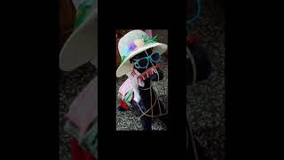 Cute decorated horse art handmadecreation youtubeshorts [upl. by Tooley]