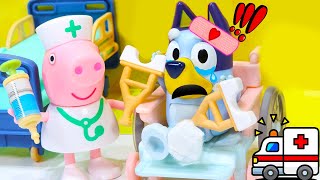 Why is Bluey Crying  Bluey Toys  Bluey Hospital full episode [upl. by Starbuck436]