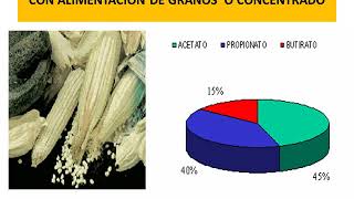 Metabolismo CARBOHIDRATOS en rumiantes NP2020 [upl. by Baldridge889]