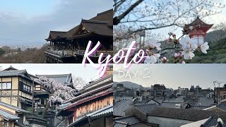 Day 5 Japan Kyoto Kiyomizudera Temple Monkey Park amp Yasaka Shrine [upl. by Siuol450]