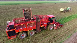 Holmer Terra Dos T440 amp Fendt tractors  Sugarbeet lifting  Van Gemeren Mechanisatie [upl. by Marcelia]